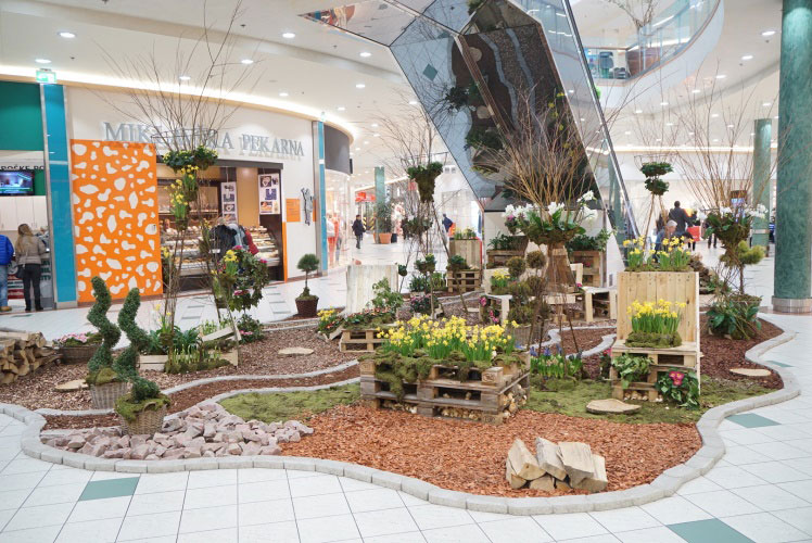 Europark-Sprehod-po-parku-01