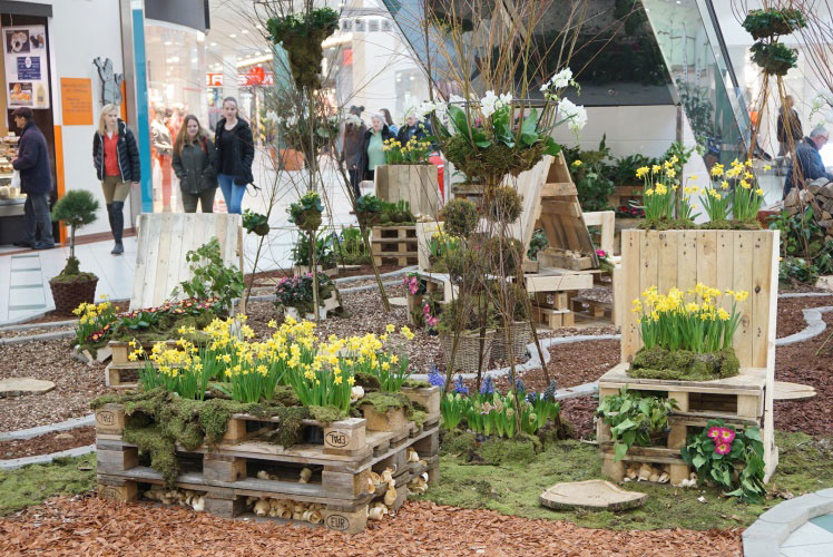 Europark-Sprehod-po-parku-02