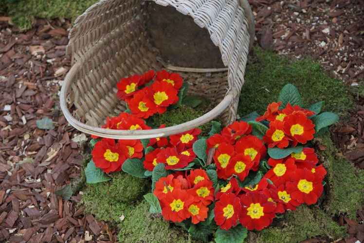 Europark-Sprehod-po-parku-05