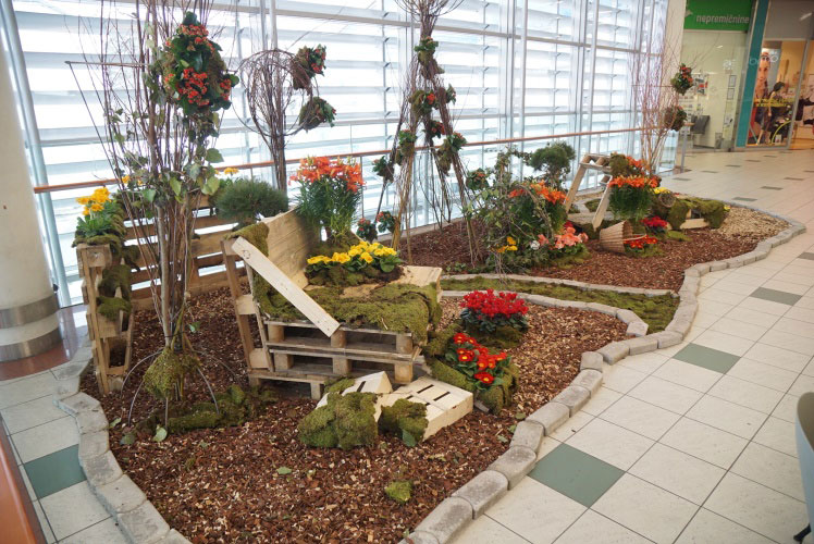 Europark-Sprehod-po-parku-06