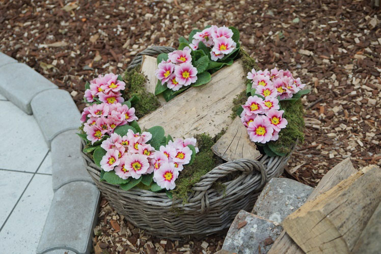 Europark-Sprehod-po-parku-08