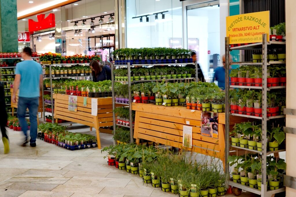 DSC06166_edit_832025963055851