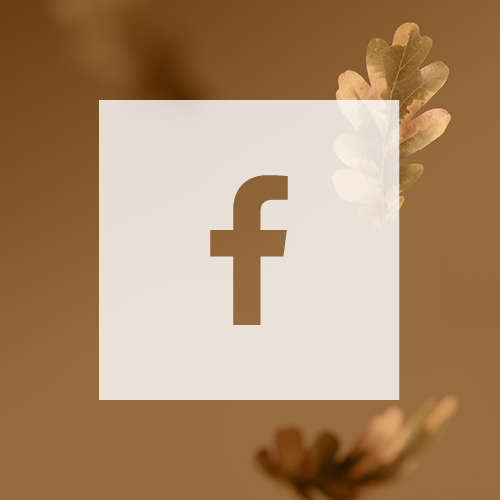 modna-revija-ikona-fb