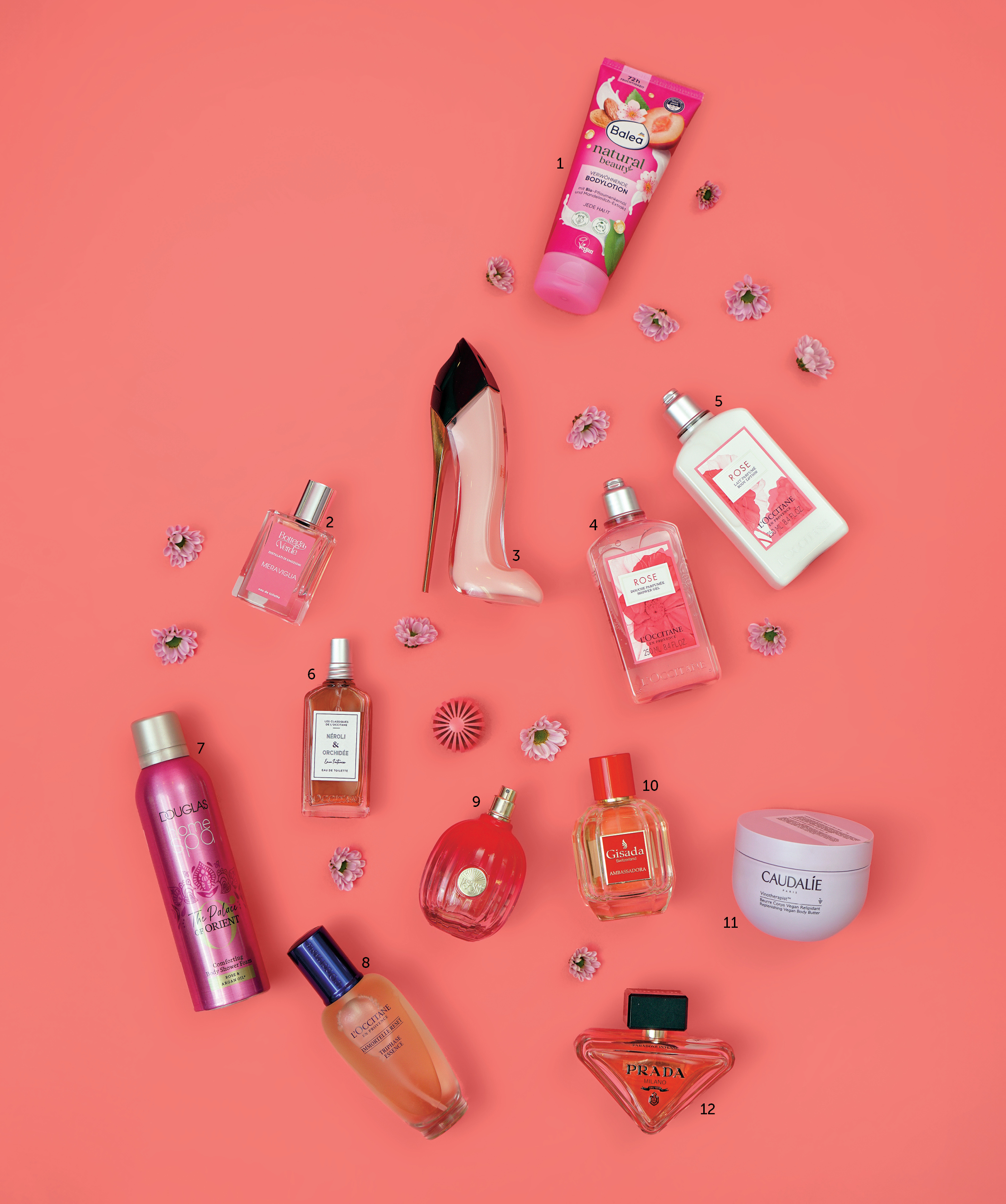 epm-podstran-izdelki-disave-jeseni-jesen-20244