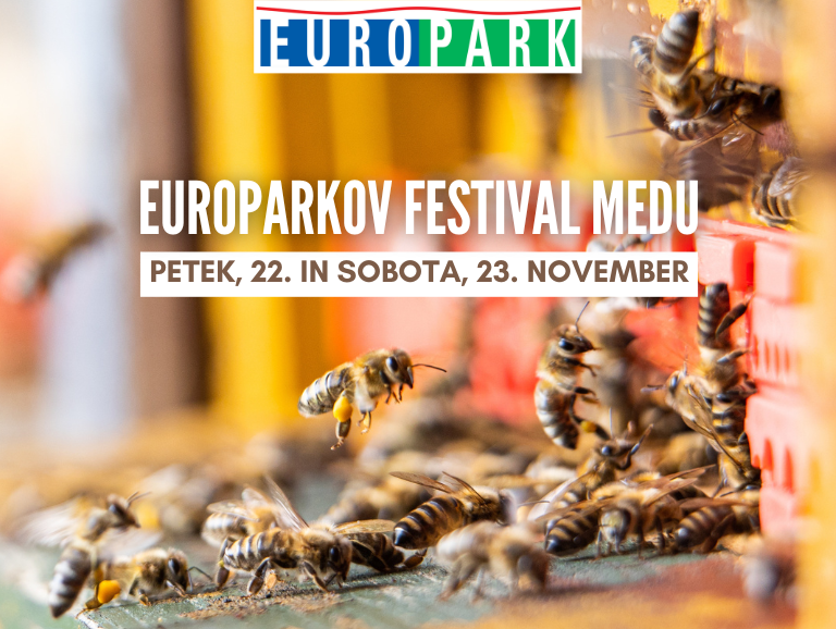 LED zaslon 768 x 578