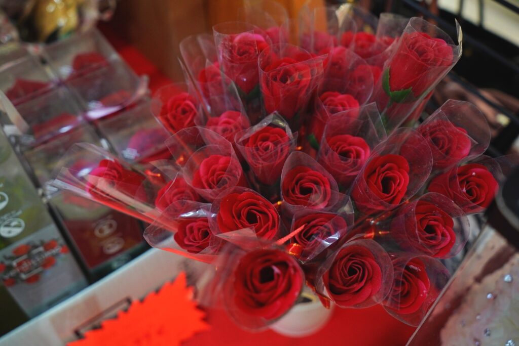 DSC06478_edit_878779619731646