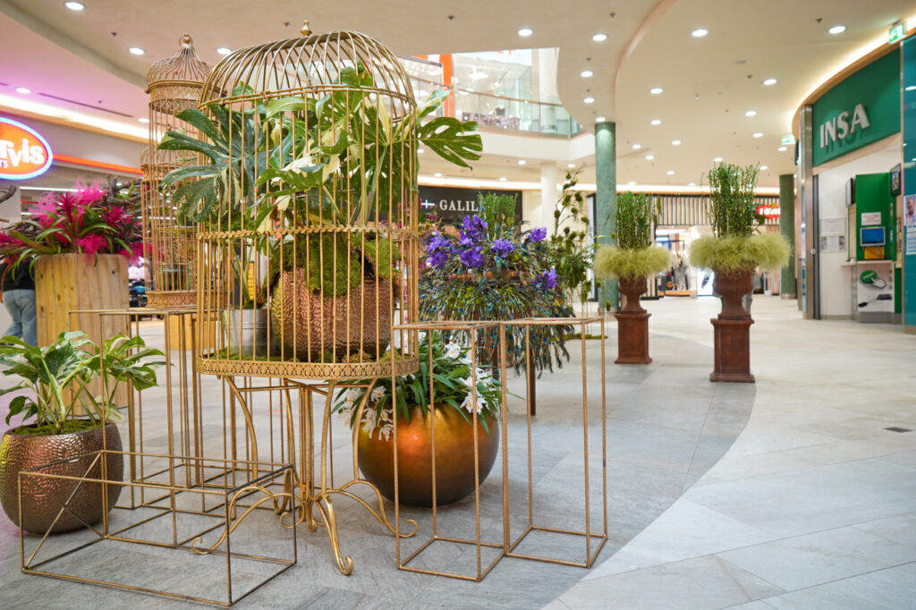 FOTO 3 (foto_Bojan Mihalič)