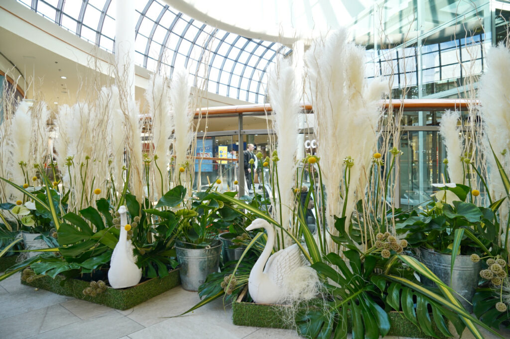 FOTO 6 (foto_Bojan Mihalič)