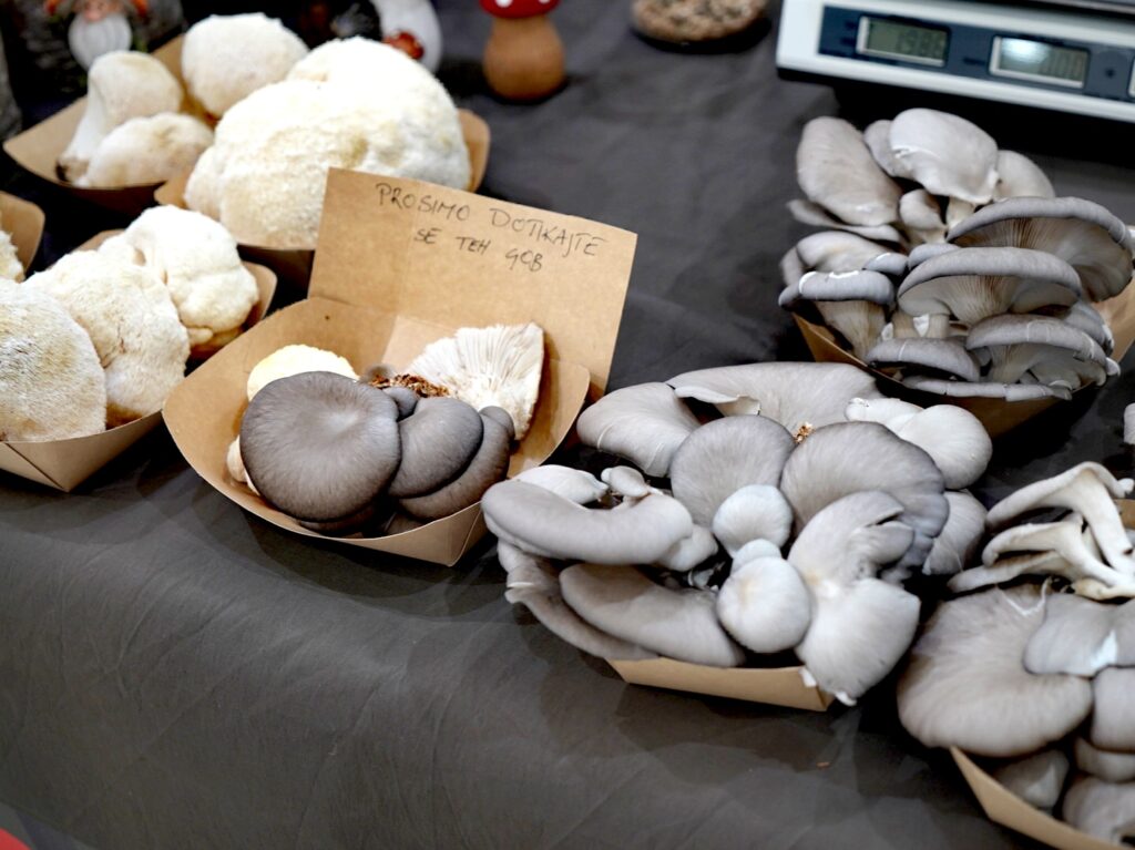 DSC08877_edit_75263750481080