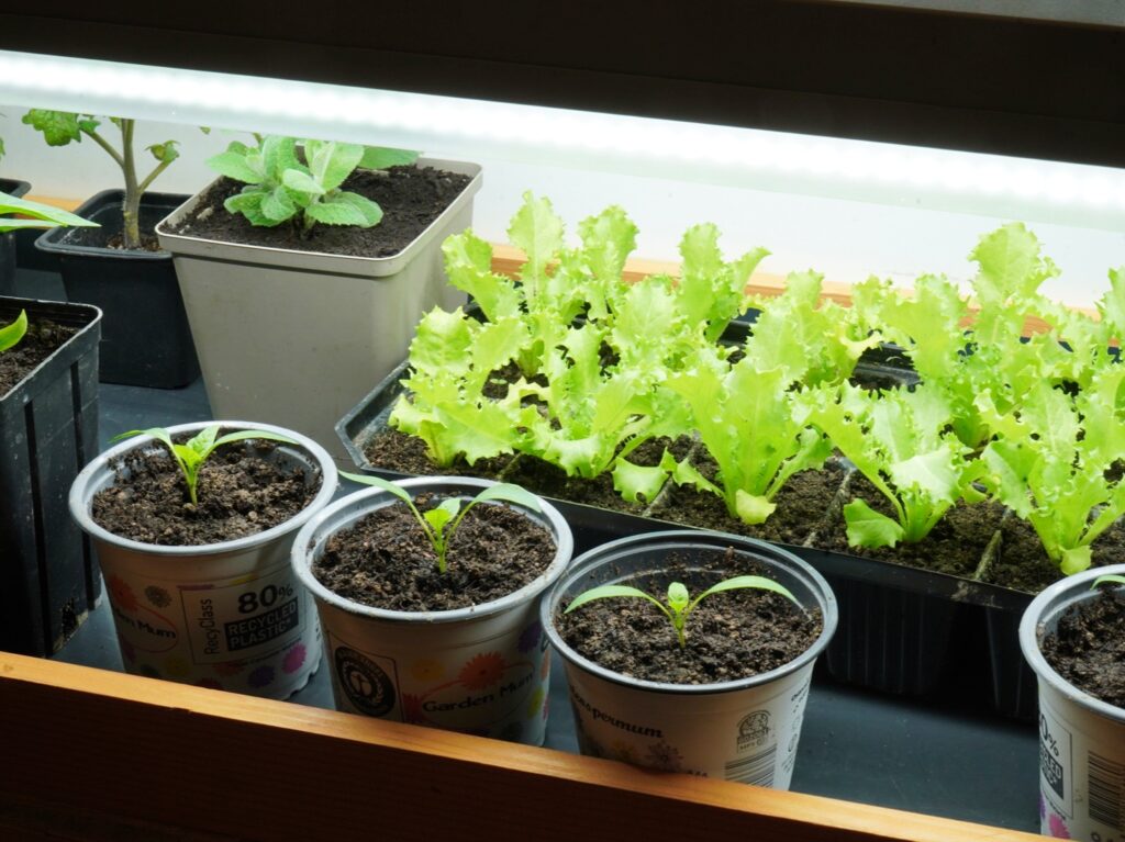 DSC08905_edit_75016872858258